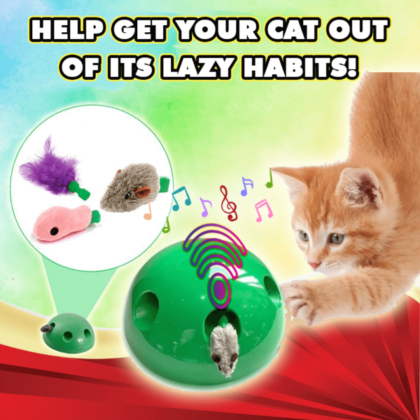 interactive motion cat toy